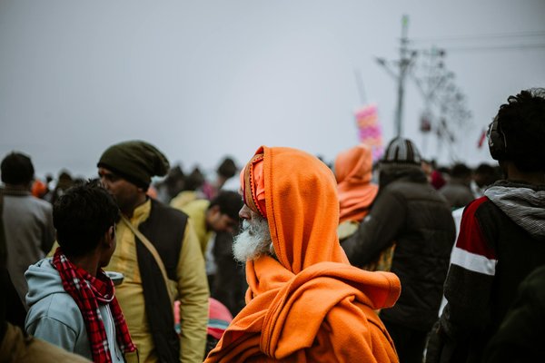 Découvrez comment les jardins de pluie transforment la gestion des eaux pluviales urbaines : avantages et impact